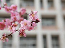 博达软件 后台管理