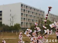 海星体育官网